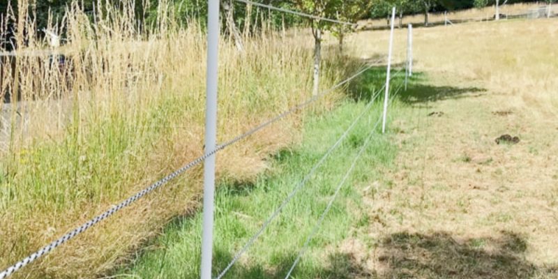 Advantages of Fiberglass Fence Posts